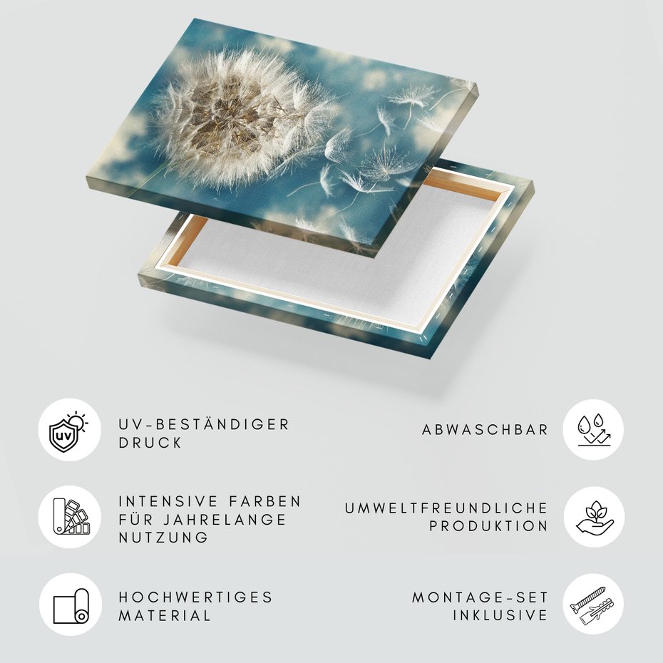 Obraz na płótnie - Dmuchawiec, Nasiona, Natura