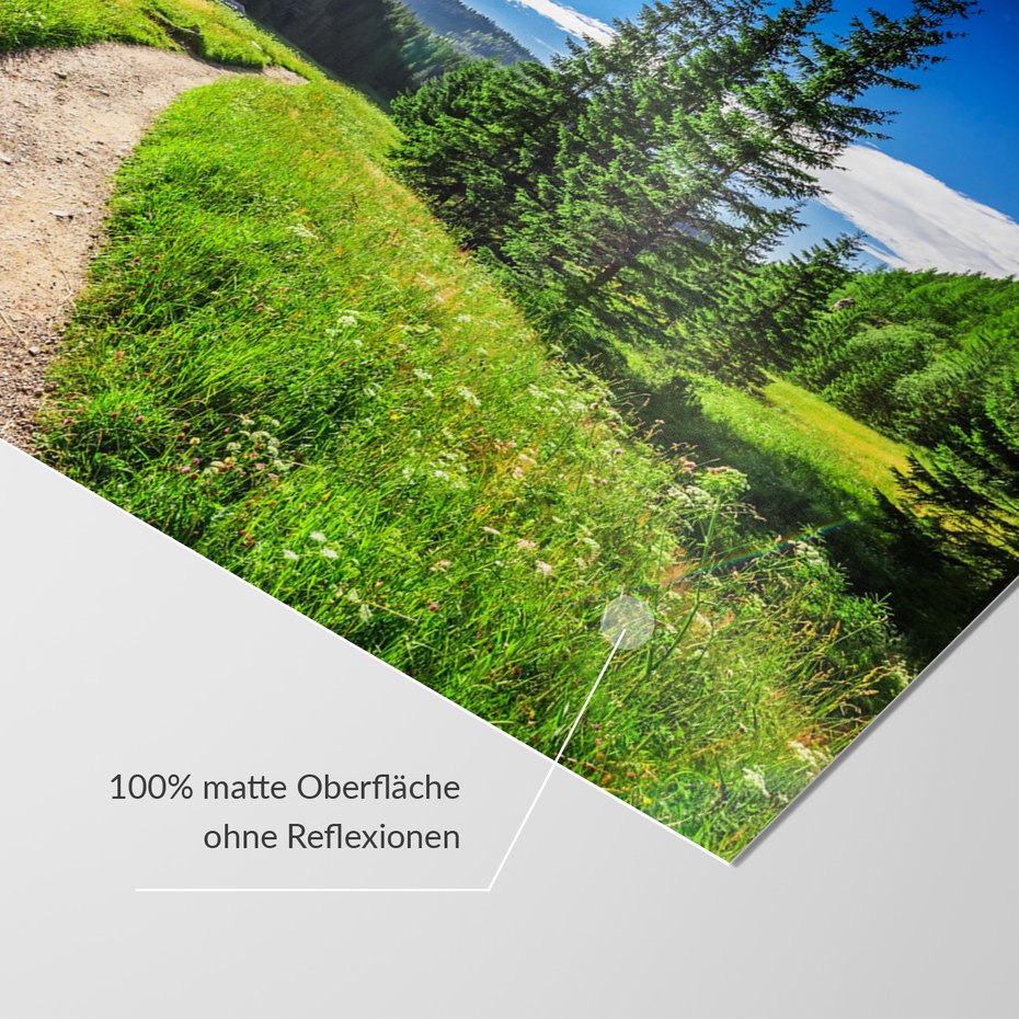 Fototapeta - krajobraz, las, ścieżka