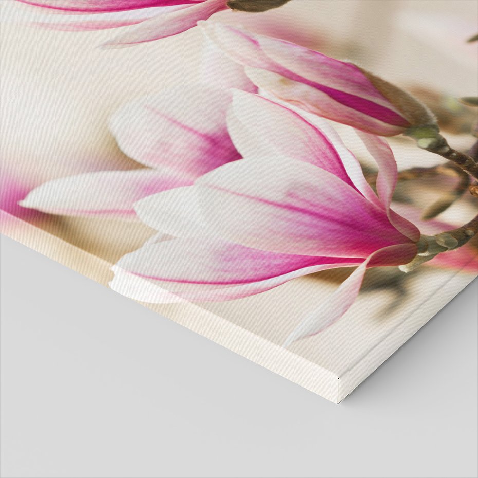 Obraz na płótnie - magnolia, kwiaty, wiosna