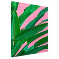 Obraz na płótnie - liście, roślina, różowy