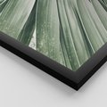 Zestaw obrazy w ramie, plakaty - liście palmowe, rośliny, natura - rama czarna