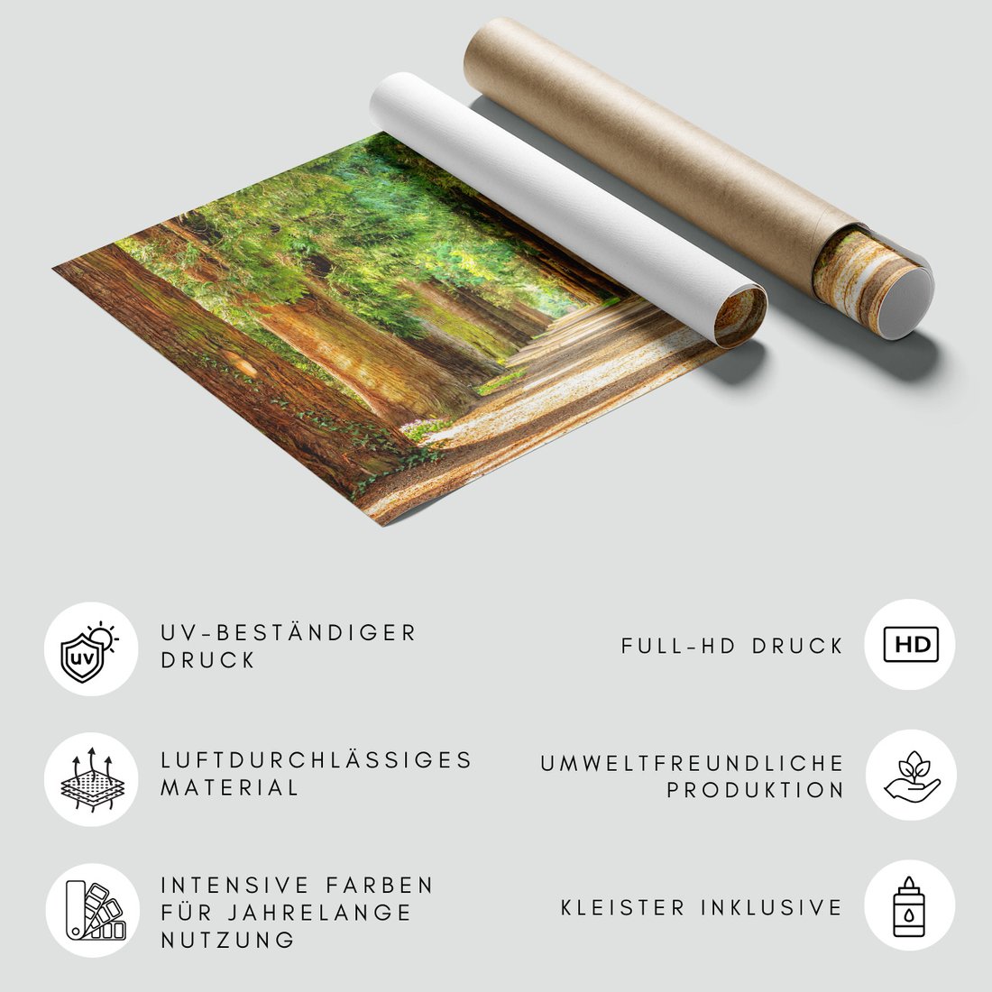 Fototapeta - las, aleja, drzewa