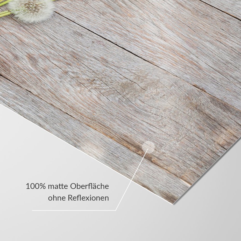 Fototapeta - dmuchawce, kwiaty, drewno