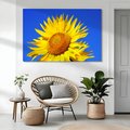 Obraz na płótnie - słonecznik, kwiat, lato