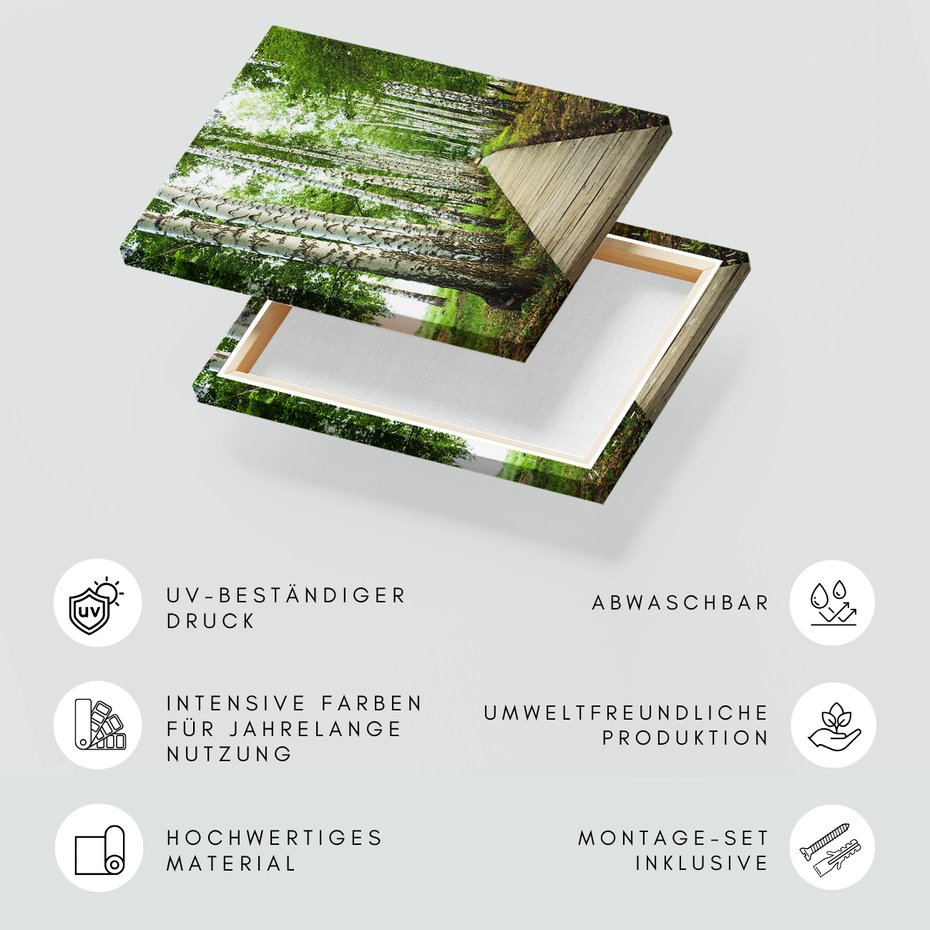 Obraz na płótnie - las, brzozy, ścieżka