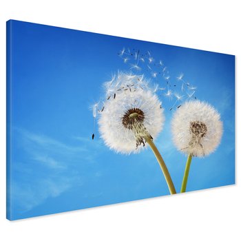 Obraz na płótnie - dmuchawiec, niebo, natura