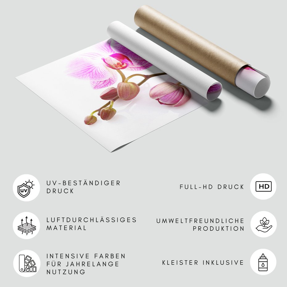 Fototapeta - kwiaty, orchidee, pąki