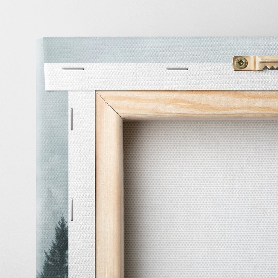 Obraz na płótnie - las, mgła, drzewa