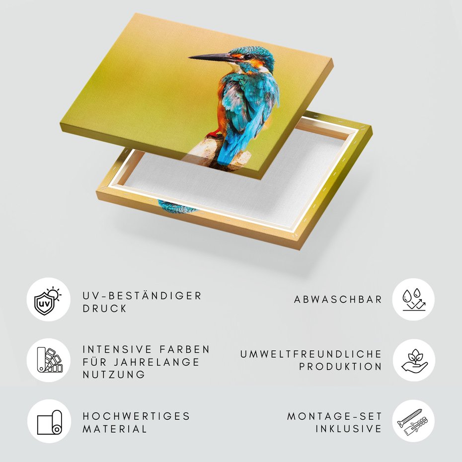 Obraz na płótnie - ptak, zimorodek, natura