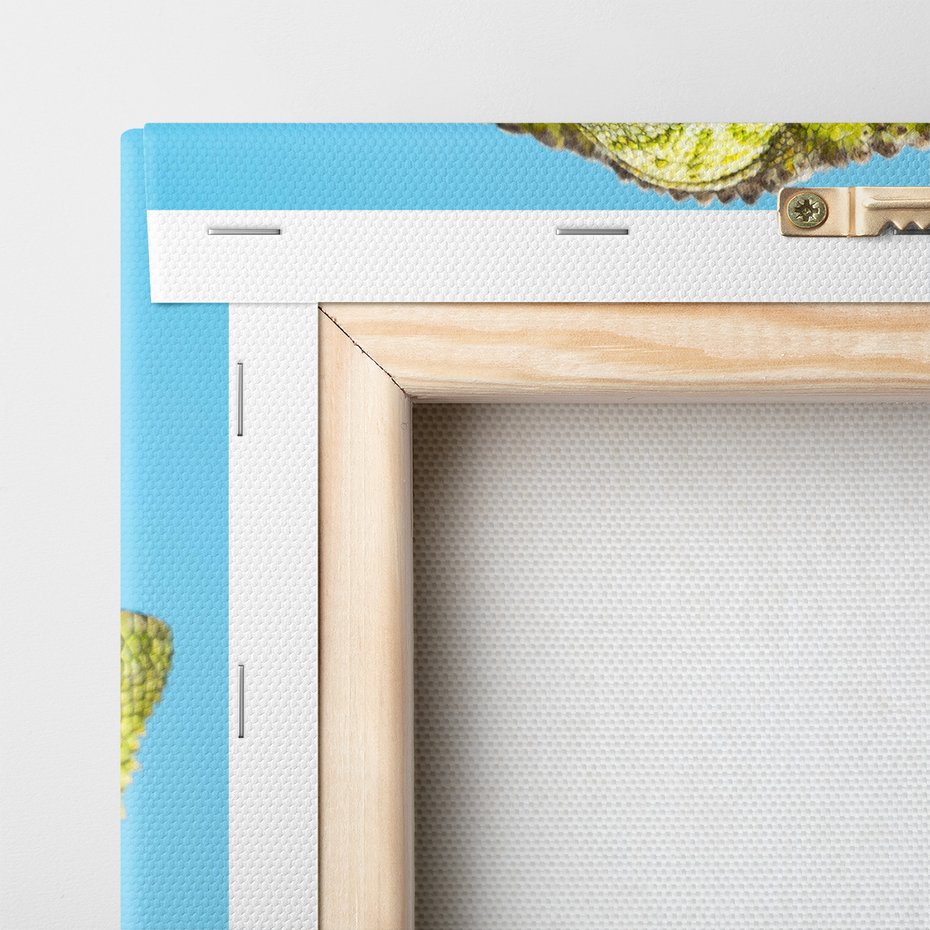 Obraz na płótnie - kameleon, jaszczurka, gad