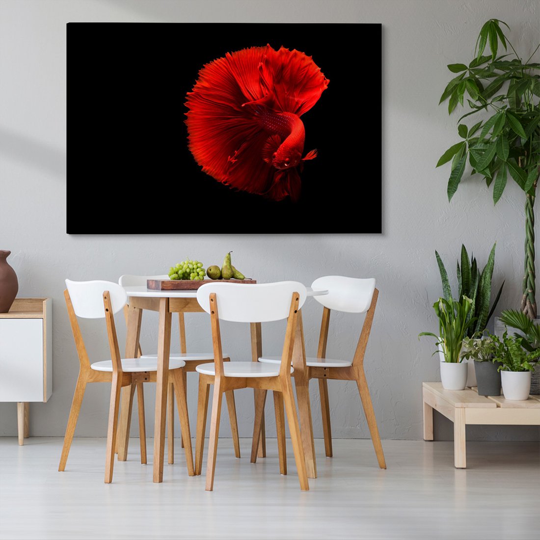 Obraz na płótnie - ryba bojownik, czerwona, płetwy