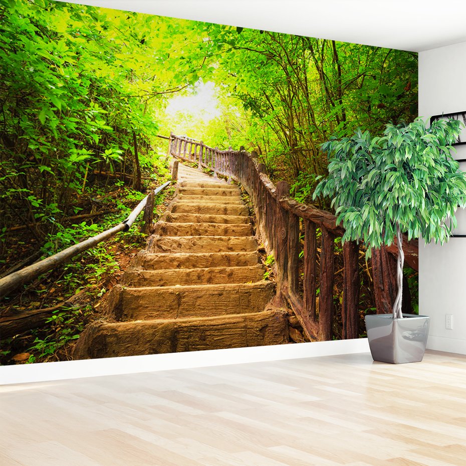 Fototapeta - las, schody, natura