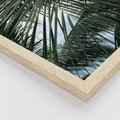 Zestaw obrazy w ramie, plakaty - liście,palmy,tropikalne - rama drewno