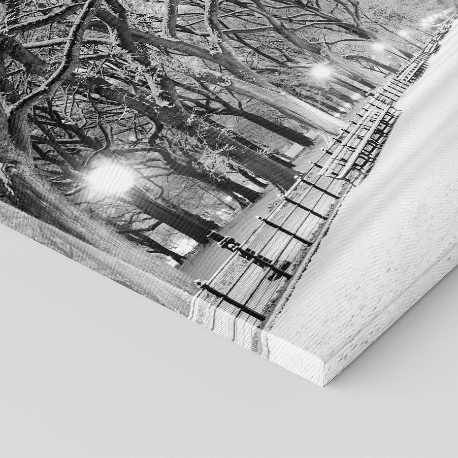 Obraz na płótnie - zima, śnieg, park