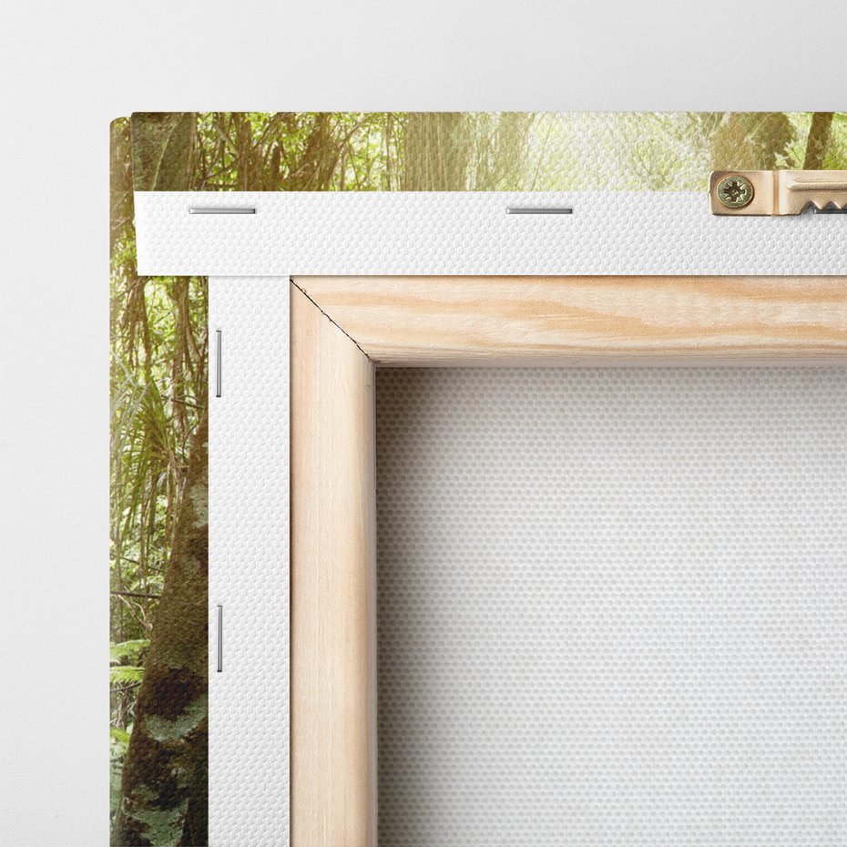 Obraz na płótnie - las, drzewa, roślinność