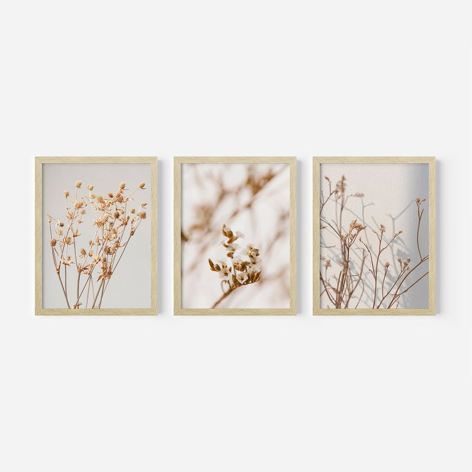 Zestaw obrazy w ramie, plakaty - kwiaty,rośliny,suszone, - rama drewno