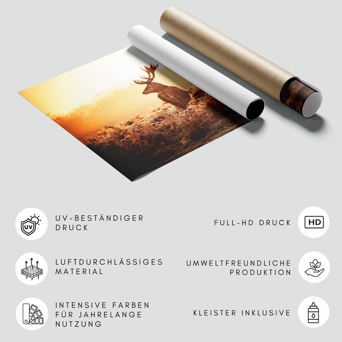 Fototapeta - jeleń, natura, krajobraz