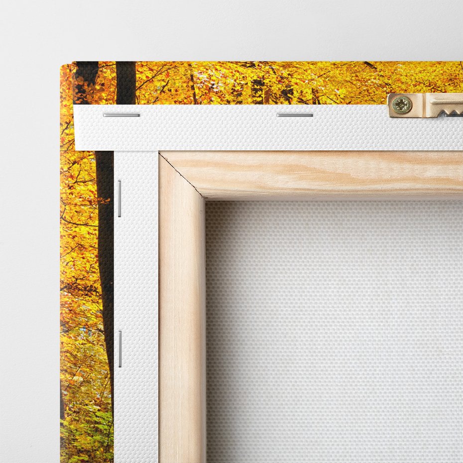 Obraz na płótnie - las, jesień, droga