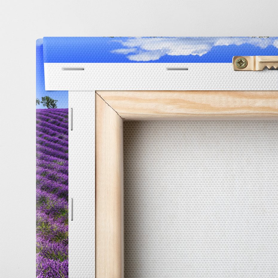 Obraz na płótnie - lawenda, pole, lato