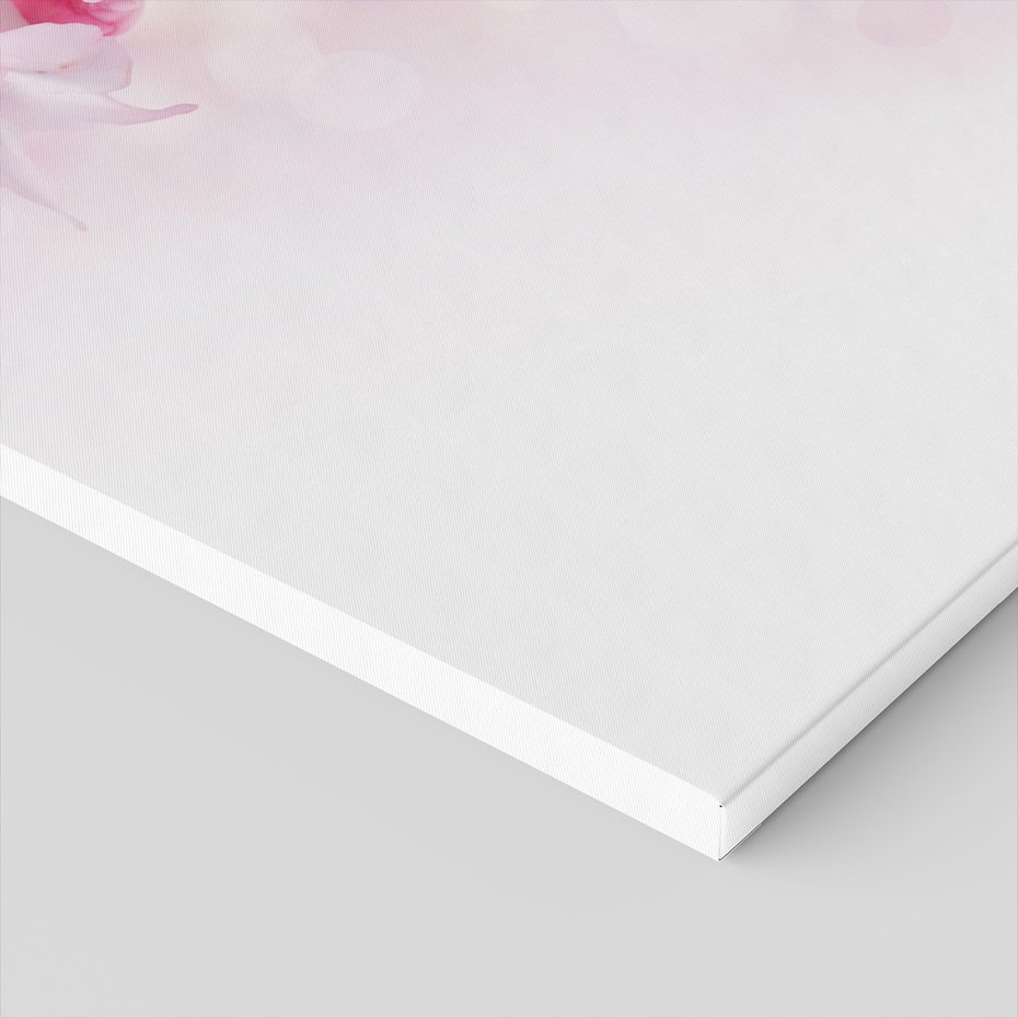 Obraz na płótnie - kwiaty, różowe, delikatne