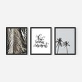 Zestaw obrazy w ramie, plakaty - liście, palmy, napisy - rama czarna