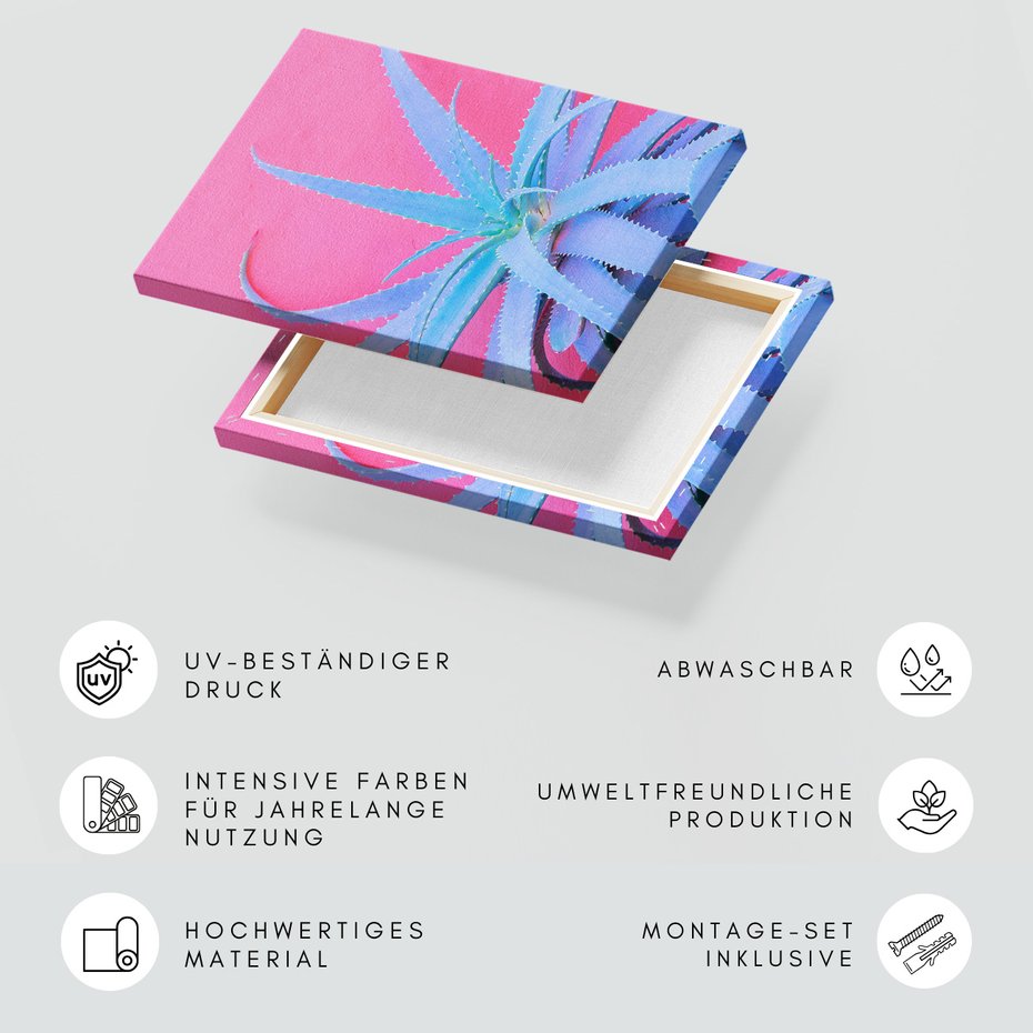 Obraz na płótnie - aloes, roślina, różowy