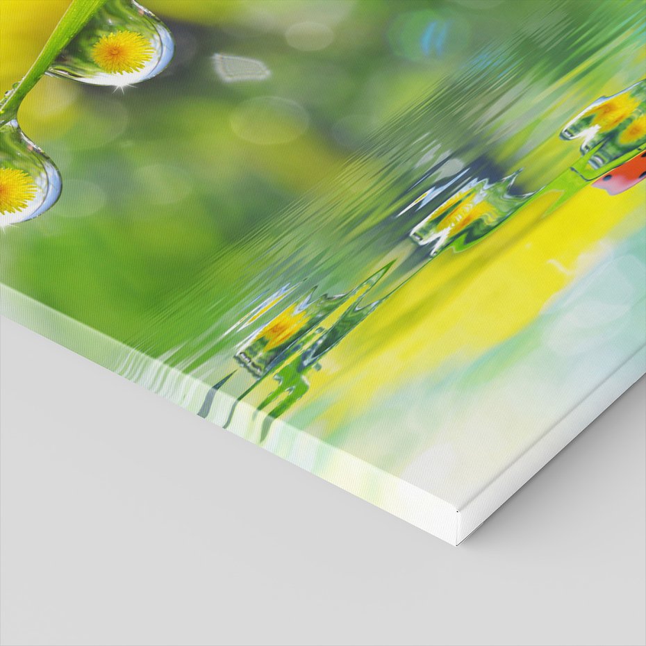 Obraz na płótnie - biedronka, trawa, woda