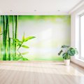 Fototapeta - bambus, woda, zieleń