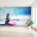 Fototapeta - kamienie, kwiat, zen