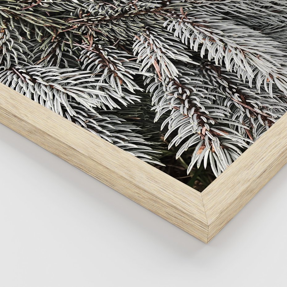 Zestaw obrazy w ramie, plakaty - zima, śnieg, las - rama drewno