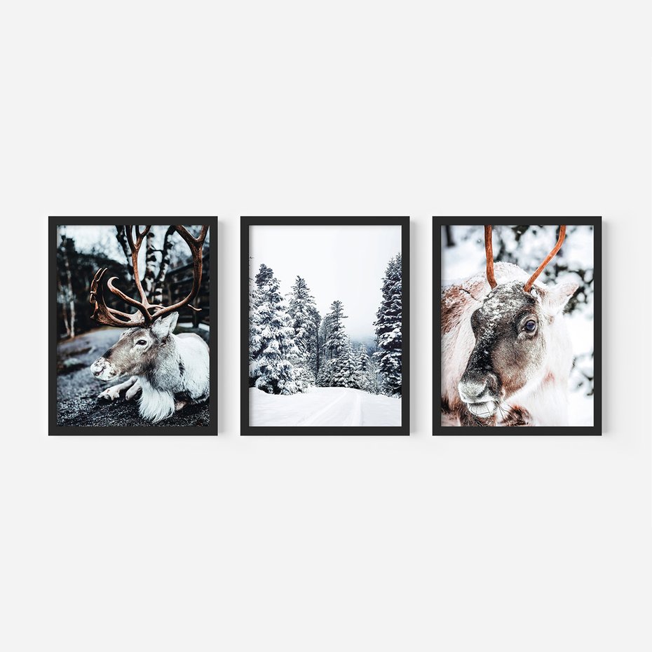 Zestaw obrazy w ramie, plakaty - renifer, zima, śnieg - rama czarna