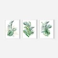 Zestaw obrazy w ramie, plakaty - liście, rośliny, tropikalne - rama biała
