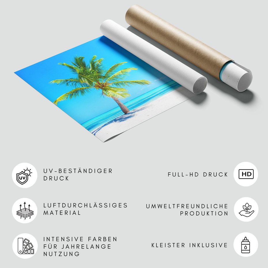 Fototapeta - palma, plaża, morze