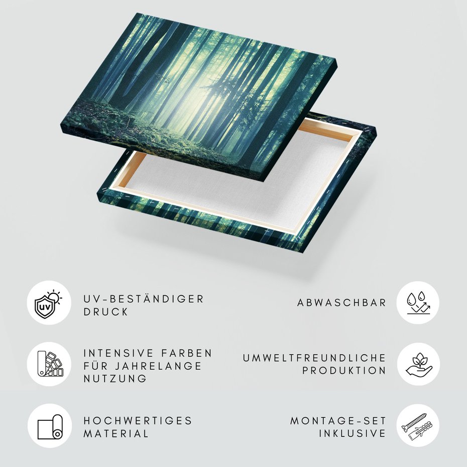 Obraz na płótnie - las, drzewa, mgła