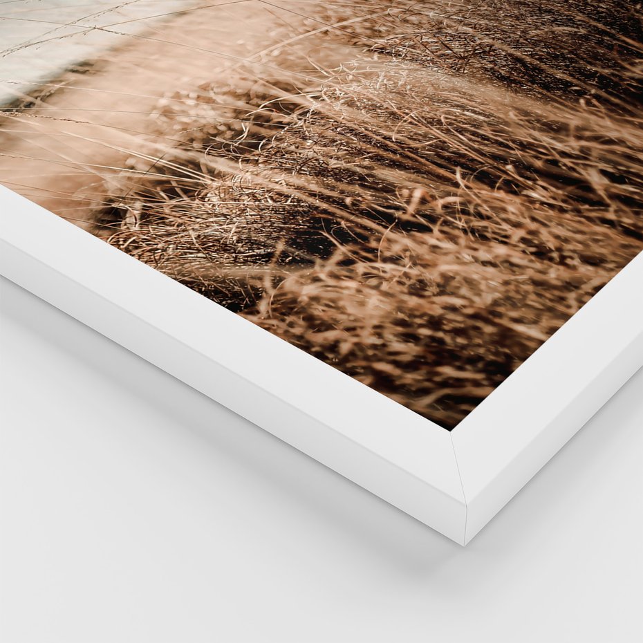 Zestaw obrazy w ramie, plakaty - przyroda, krajobraz, wydma - rama biała