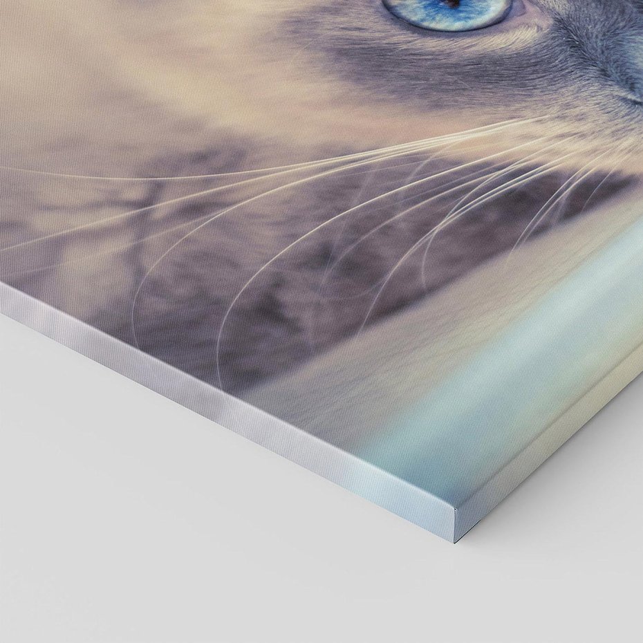 Obraz na płótnie - kot, zwierzę, portret