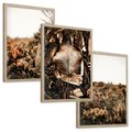 Zestaw obrazy w ramie, plakaty - liście, roślinność, brązowy - rama drewno