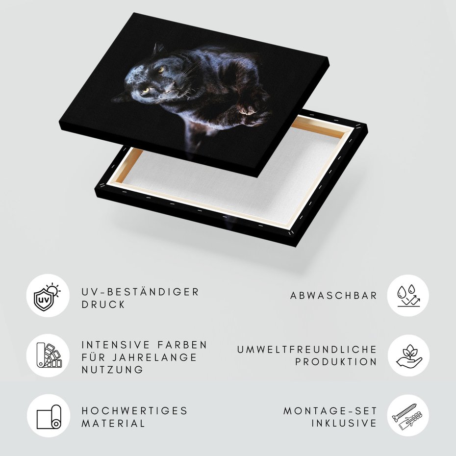 Obraz na płótnie - pantera, czarna, kot