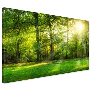 Obraz na płótnie - las, drzewa, natura