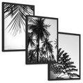 Zestaw obrazy w ramie, plakaty - palmy, liście, tropikalne - rama czarna
