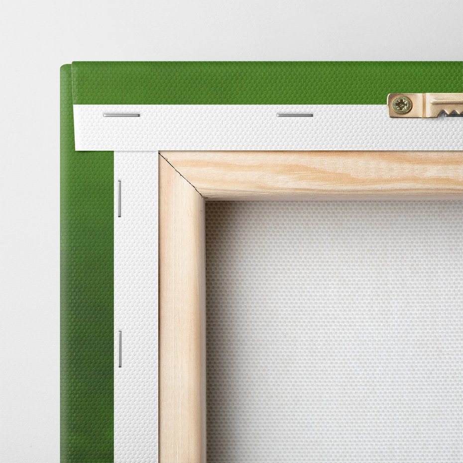 Obraz na płótnie - piłka, bramka, gol