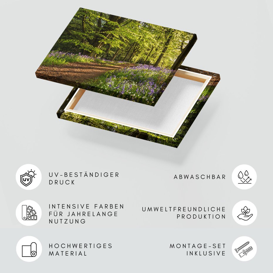 Obraz na płótnie - las, ścieżka, kwiaty