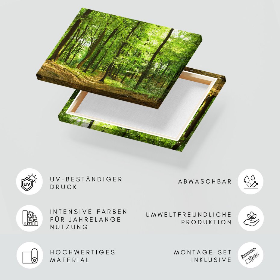 Obraz na płótnie - las, drzewa, natura