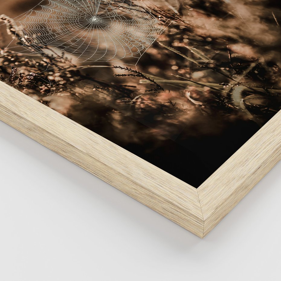 Zestaw obrazy w ramie, plakaty - przyroda, pajęczyna, owoce - rama drewno