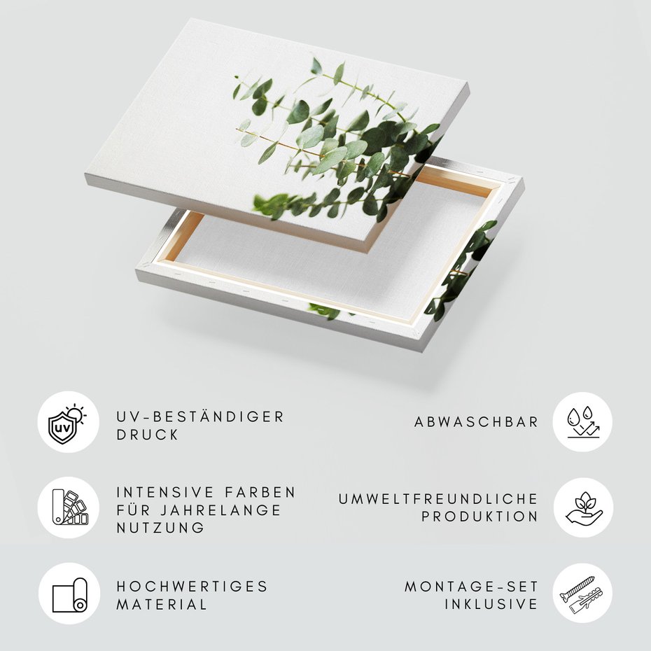 Obraz na płótnie - eukaliptus, liście, roślina