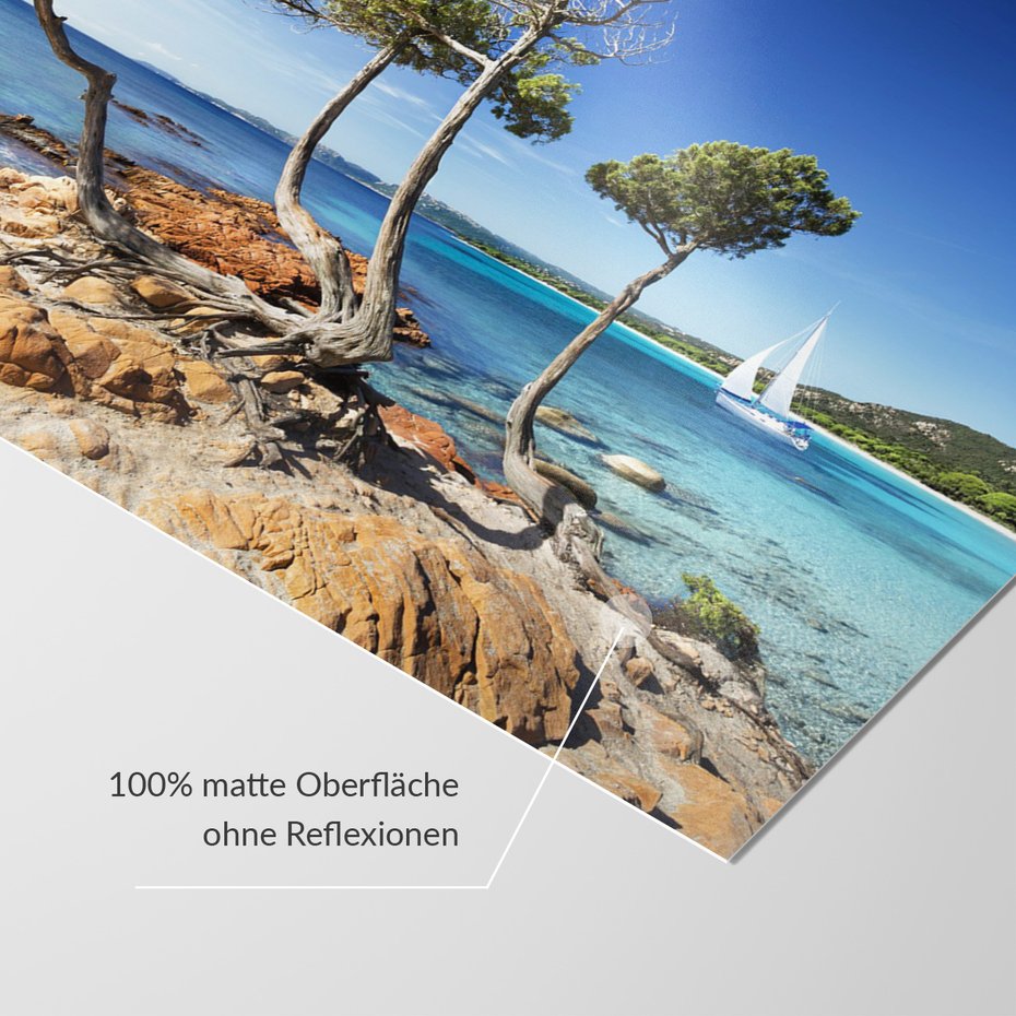 Fototapeta - plaża, morze, drzewa