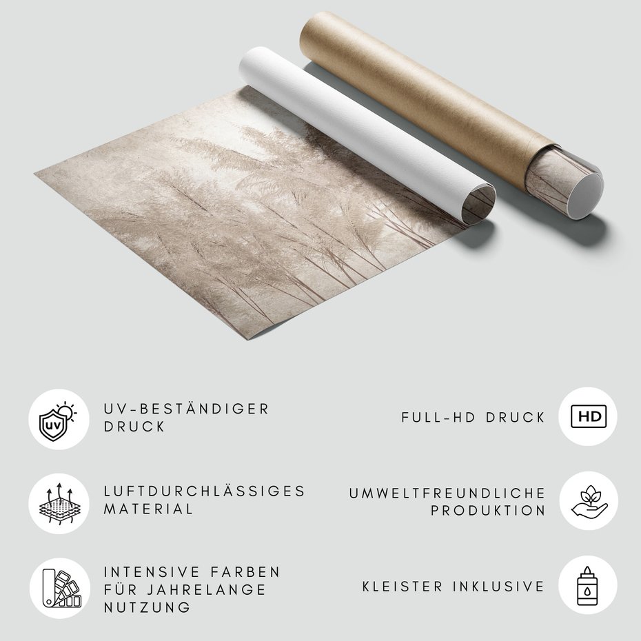 Fototapeta - beton, liście, suche