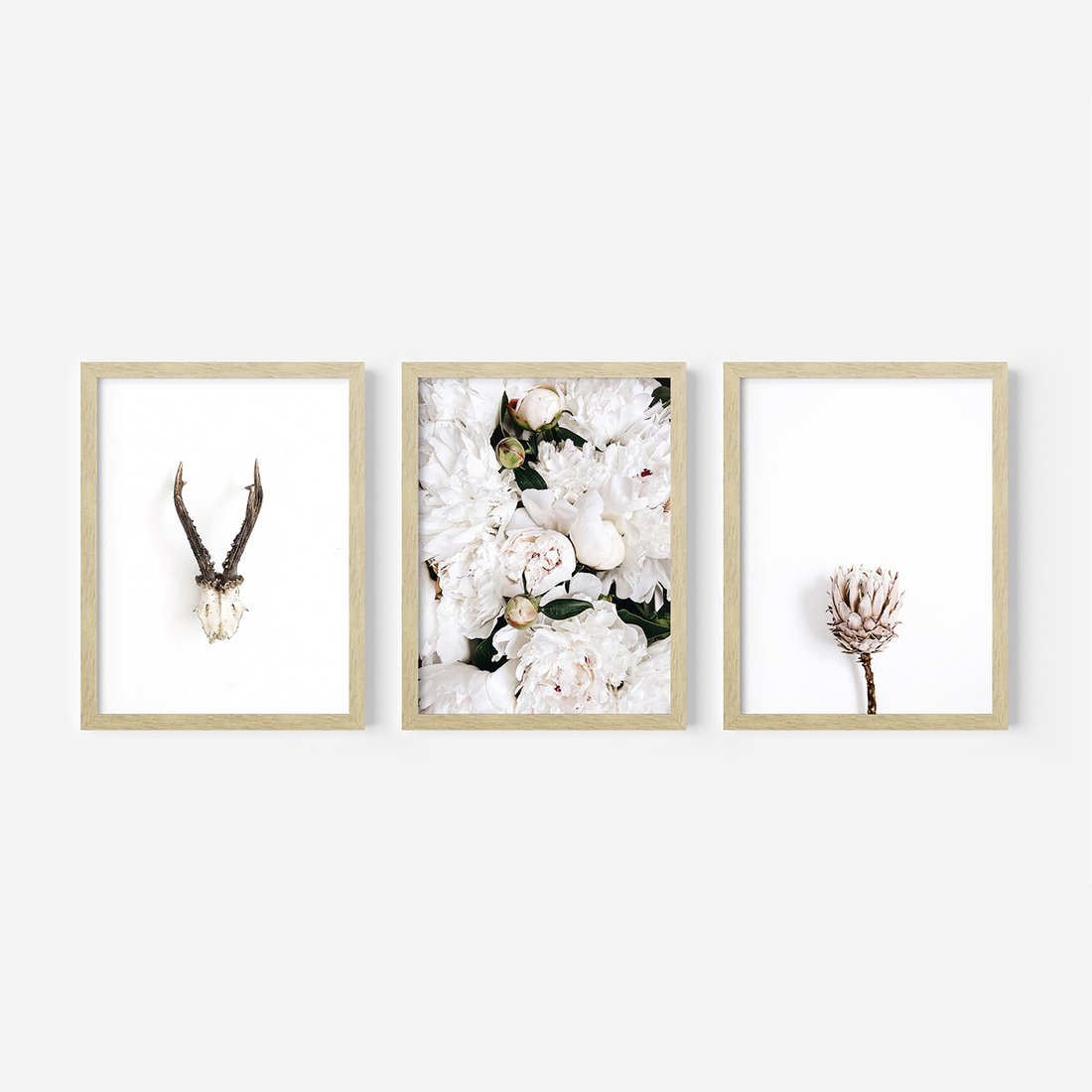 Zestaw obrazy w ramie, plakaty - kwiaty, minimalizm, roślina - rama drewno