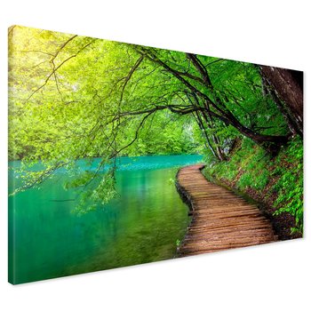 Obraz na płótnie - las, woda, natura