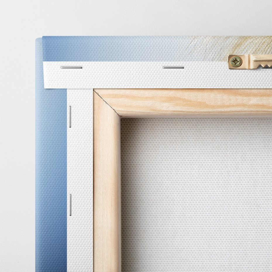 Obraz na płótnie - dmuchawiec, nasiona, natura